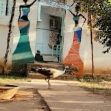 Molly's Hostel, Varkala